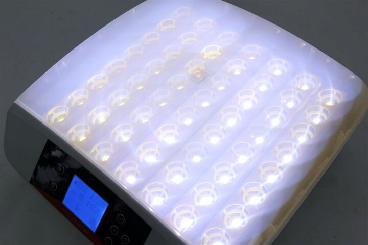 楽天市場】送料込み！最大56個 全自動孵卵器 孵卵機 ふ卵器 孵化器 