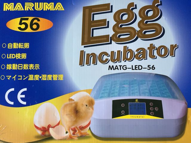 楽天市場】最大56個 全自動孵卵器 孵卵機 ふ卵器 孵化器