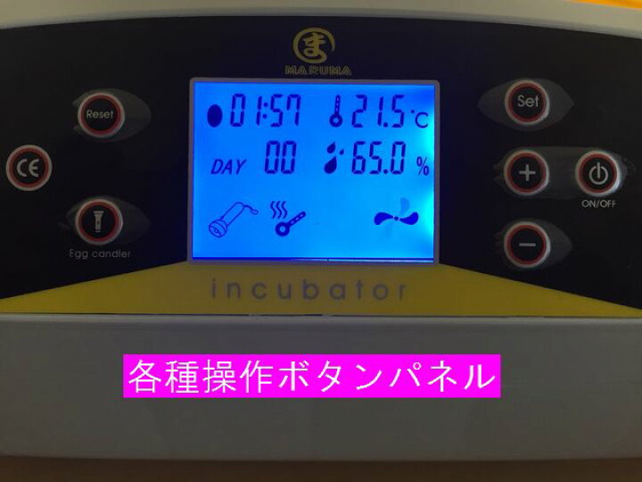 楽天市場】マイコン式鳥類専用自動転卵式 孵化器 ふ化器 孵卵器 ふ卵器 