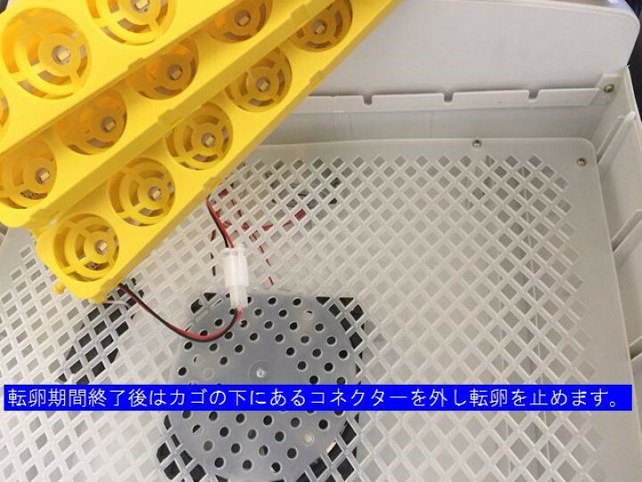 楽天市場】マイコン式鳥類専用自動転卵式 孵化器 ふ化器 孵卵器 ふ卵器 