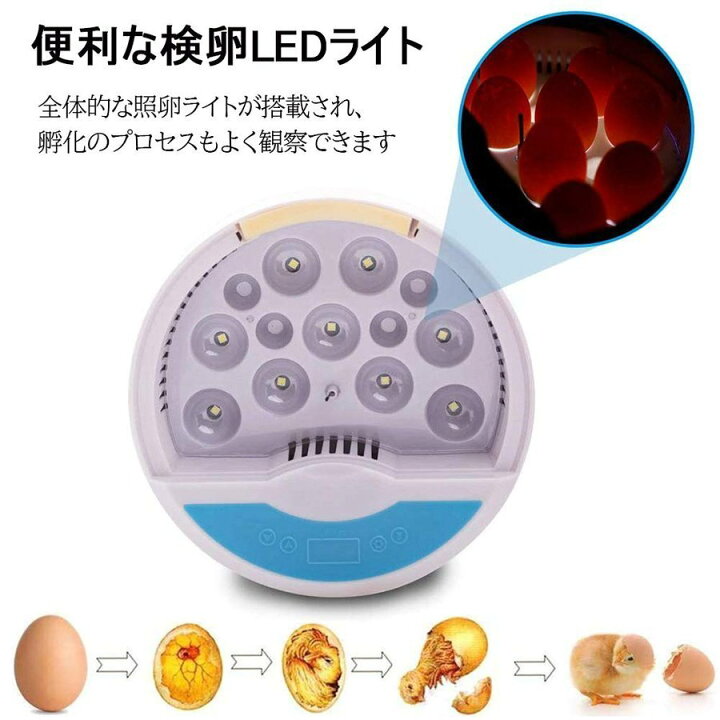 楽天市場】LED自動孵卵器 インキュベーター 検卵ライト内蔵 鳥類 