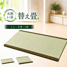 【天然い草】高床式収納ユニット畳専用替え畳 ミニ 半畳 1畳 引出付き 高さ2cm eco家具 専用 交換用 取り換え 畳表替え 畳表替え 畳新調 縁付き 天然 い草 eco家具 F-20.21.22