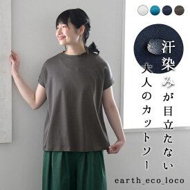 汗じみ防止 Tシャツ カットソー プルオーバー 汗 目立たない 撥水 吸水 コットン 【メール便可】／着後レビューでクーポン☆ 大きいサイズ 体型カバー ゆったり ナチュラル エコロコ Ms,Ls,LL,3L, ／ オリジナル 春夏 レディース 2320SS0407 イージーケア