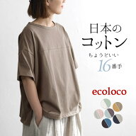【クーポンで最大1000円オフ】【メール便可】レビュー高評価★ 綿100% Tシャツ カットソー 半袖 レディー…