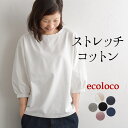 【メール便可】カットソー レディース ボリューム袖 ストレッチコットン 綿／着後レビューでクーポン☆ カジュアル クルーネック tシャツ 五分袖 体型カバー トップス エコロコ e+／春夏 大きいサイズ 25SS0124R,