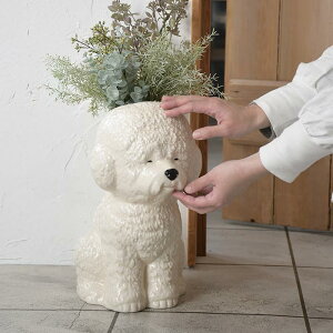 ԕr t[x[X  rVt[[^  i` l CeA   uŉ؂₩ Mtg v[g GRR z+, sel,^30 40 50 25AW1204,