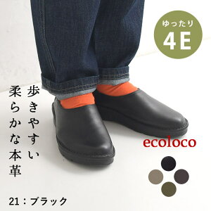 {v Xb| 4E RtH[gV[Y fB[X y ₷^ヌr[ŃN[| i` JWA C L O Ch _炩 ɂȂ ɂ GRR 