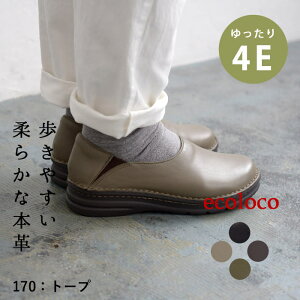 {v Xb| 4E RtH[gV[Y fB[X y ₷^ヌr[ŃN[| i` JWA C L O Ch _炩 ɂȂ ɂ GRR 