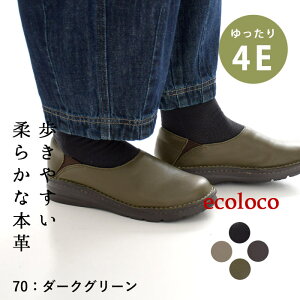 {v Xb| 4E RtH[gV[Y fB[X y ₷^ヌr[ŃN[| i` JWA C L O Ch _炩 ɂȂ ɂ GRR 