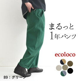 カーゴパンツ ワイド レディース 微起毛 コットンストレッチ 綿／着後レビューでクーポン☆ カジュアル ナチュラル ウエストゴム 脚長 体型カバー ボトムス エコロコ e+,／ 大きいサイズ 春 秋冬 秋服 25AW0904R,