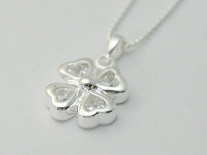 v`v􈤂n[gCZ̋PŏxUP!!NAN[o[`|tlbNX(BC100)