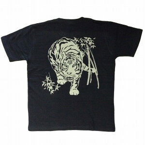 YTVc@̂Xunɘa𔲐܂B@Ձ@