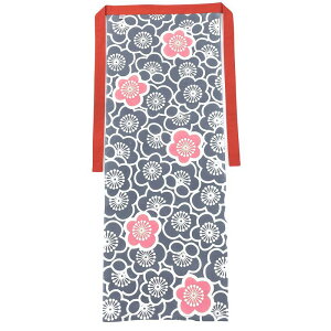 []˂Ă] ziӂǂj{ 100 ʂ  a Y jpt[TCY~iԕRj