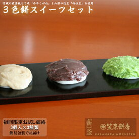 和菓子 宮城 送料無料 ギフト もち 3色もちスイーツセット 3パック 【冷凍】 お取り寄せ スイーツ (ずんだ餅3個入×1P・あんこ餅3個入×1P・くるみ餅3個入×1P) 餅スイーツお菓子】仙台 お土産 餅菓子 お試し お取り寄せグルメ 和スイーツ あんこ 餅 初回限定