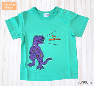 nbJxr[@hakka baby@_Ci\[@@O[@80cm@90cm@AbvP@hJ@vg@@킢@tā@ĕ@qǂ@q@xr[@vgTVc@TV