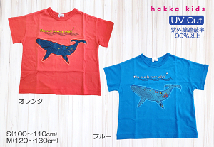 hakka kids@nbJLbY@烂`[t@TVc@NW@Ĉ́@AbvP@STCY@MTCY@IW@u[@ā@ĕ@qǂ@q@j̎q@̎q@@