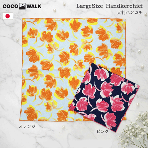 唻nJ`@t[@IW@sN@ԕ@{@傫ځ@nJ`@fB[X@o_i@C~@ʂ@@̓@ꂳ@`ꂳ@a@v[