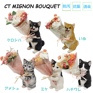 CT~ju[P@ʁ@˂@AV@~P@NVo@n`@@hbO@Lbg@Ck@lR@ԑ@u@Rہ@L@h@蕨@v[g@Mtg@̓@a