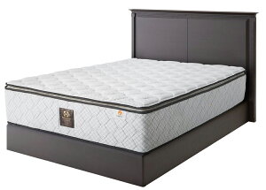 V[[xbh Solemn T _u m[}^Cv ^ tbg NVbN_ sealy  xbht[̂