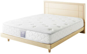 V[[xbh Ambit Arbg2 Ch_u bO^CvErtEXe[V tbg sealy  xbht[̂