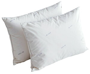 h[xbh P-916N_Es[ }N cCs[ AEgXg \ Q Y/{(Ldreambed)