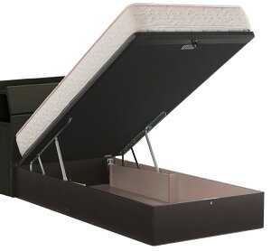 h[xbh@D-Rise 3053@fBCY@yCh_uzytgzyˏグzyˏグ[z@ghI[N@ZsAEH[ibg `R[EH[ibg@RZgL