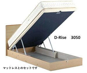 h[xbh@D-Rise 3050@fBCY@yCh_uzyNC[1zytgzyˏグzyˏグ[zghI[N@ZsAEH[ibg `R[EH[ibg@dreamb