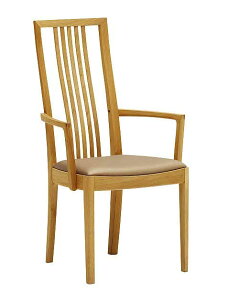 JN CT4810 H֎q H֎q _CjO`FA v IׂJ[ It֎q karimoku Y/{Ƌ K戵X ؐ ui r[` Pi o