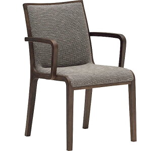 JN CW3600 ItH֎q H֎q _CjO`FA v IׂJ[ karimoku Y/{Ƌ K戵X ؐ Pi o