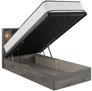 h[xbh vCVA2146 _u It {t Ɩ Lrlbg tg ˏグ KXnb` dream bedK̔X Y/{Ƌ(L) O[I[N O[uE DF O[