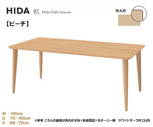 ˎY HIDA  I[_[e[u _CjOe[u H zV H 3cm ypی`zy120cmzIׂJ[ sI I r[` RџO ui ؐ Y/{Ƌ K戵X 