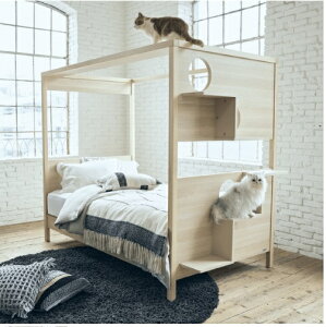 tXybg Lbg^[ xbh cat tower bed ɂ  Ck L lR Ƌ 킢 Ƌ  {