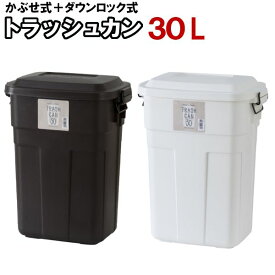 ゴミ箱 30L ふた付き 39cm 日本製 トラッシュカン おしゃれ 30 リットル フタ付き 蓋つき ダストボックス ペール 北欧 シンプル 分別 キッチン 事務所 屋内 ガレージ 屋外 アメリカ