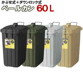 ゴミ箱 60L ふた36cm 日本製 ペールカン おしゃれ 大容量 60 リットル ダストボックス トラッシュカン ペール 北欧 シンプル 分別 キッチン 事務所 屋外 アメリカ ペール缶 ミリタリー アメリカン アーミー 復元力