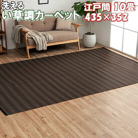 ＼1000円OFFクーポン★12時～／ い草 調 カーペット ラグ 夏用 江戸間 10畳 435×352 洗える 除菌スプレー対応 ラグマット 夏 おしゃれ 国産 丈夫 ござ マット リビング ダイニング ペット周り 子供部屋 アウトドア グリーン ベージュ ブラウン ネイビー