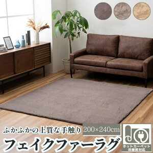 y|Cg5{zO  ` ӂӂ ~ tFCNt@[ n 200×240cm 