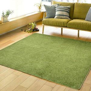 y|Cg5{zO 185×185 Ő  O}bg J[ybg   2 ӂӂ   AEghA C 185 185 cm ` k g[ I[V[Y ~ߕt 킢  180 p 