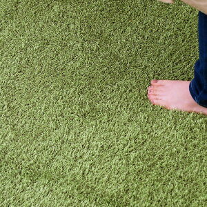 y|Cg5{zO 185×240 Ő  O}bg J[ybg   2.5 ӂӂ   AEghA 240 185 cm ` k g[ I[V[Y ~ߕt 킢 180 p r