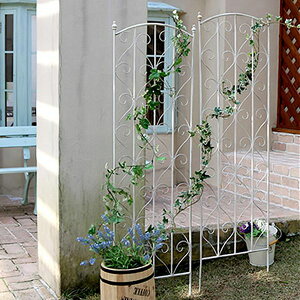 ő1000~OFFN[|bzCg ACA gX  147 2g tFX KN K[fjO X^CbV t` AeB[N _ RR  CObV K[f t@j`