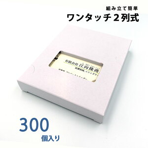 hP[X  h [փTCY 100  2񎮈̌^ 300 { 