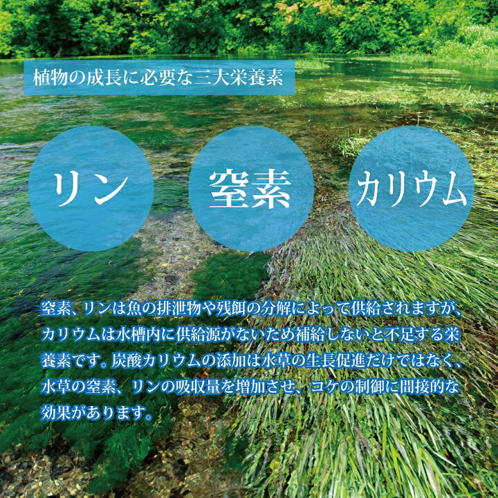 楽天市場 Aquitems 水草 肥料 カリウム溶液用 100g アクアリウム 水草栄養 自作用 江向隆商店