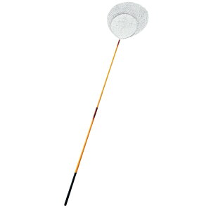 XChGr2i [15cm] NPK(iJW})(9707)