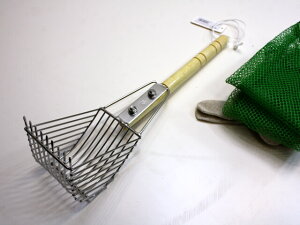 L W  XeX v`WZbg NPK 8240