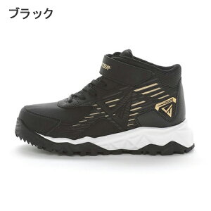 Xm[u[c LbY [X^[ h Xmg WjA ~ q EC^[u[c RۖhL 􂦂C\[ h݌v 19cm 20cm 21cm 22cm 23cm 24cm w w ʊw wZ 