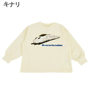 y40OFFzd V TVc LbY T R lk hN^[CG[ ΂ JR q  蕨 OCEANGROUND 90cm 95cm 100cm 110cm 120cm 130cm 140cm j̎q ʊw wZ w  