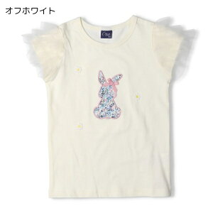 y50OFFzTVc LbY ̎q tVc  gbvX q  AbvP { hJ o ꒅ 100 90cm 100cm 110cm 120cm 130cm 140cm ct ۈ牀 w NX}X50