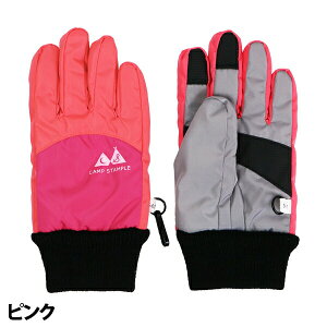 X^v  LbY ̎q Xm[ j̎q V X^v  EC^[O[u stample XL[O[u XL[Ou Xm[O[u ܖ{w Xm[{[h ~ q cp 