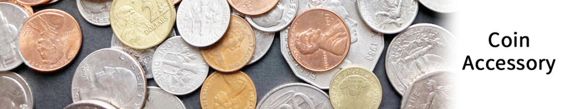 Coin Accessory