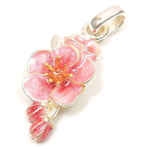 `[ y_ggbv Vo[925 ~ E GiʐF C^A Tcm C|[g fB[X