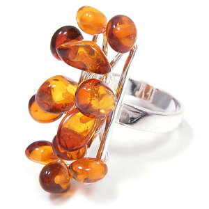 O w Vo[925  RnN Ao[ fB[X s 16